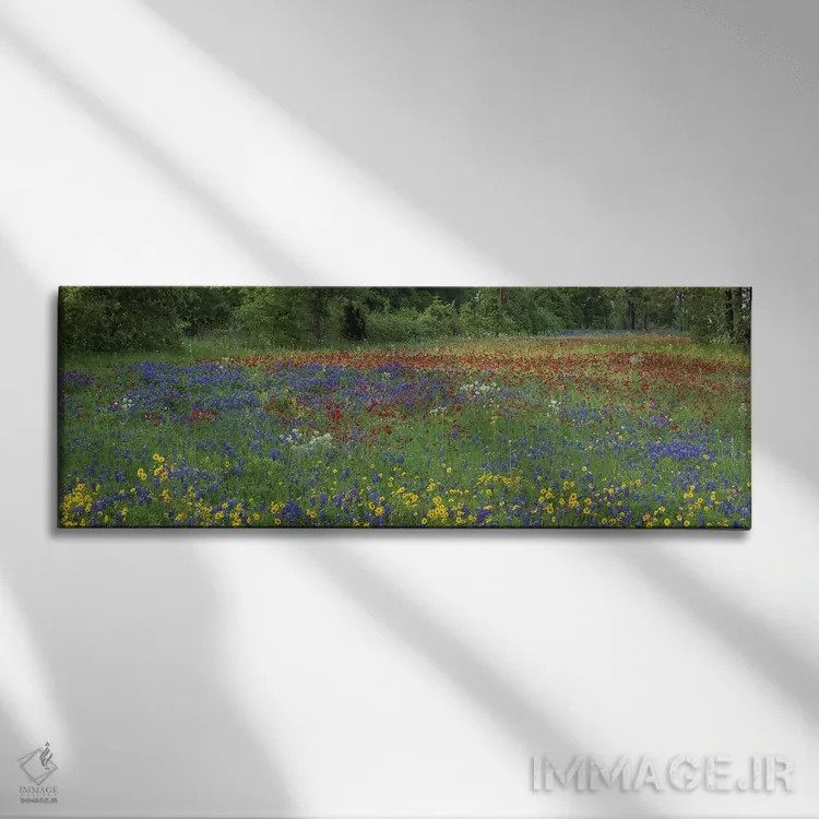 تابلو دکوراتیو Drummond's Phlox And Tickseed, Fort Parker State Park, Tex… اثر تیم فیتزهریس - نمای روبهرو روی دیوار