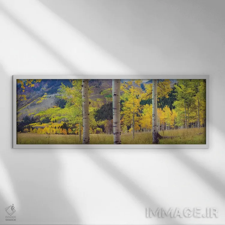 تابلو دکوراتیو Colorado,باغ صفاف لرزان در پاییز، کلرادو اثر تیم فیتزهریس - نمای قابدار سفید