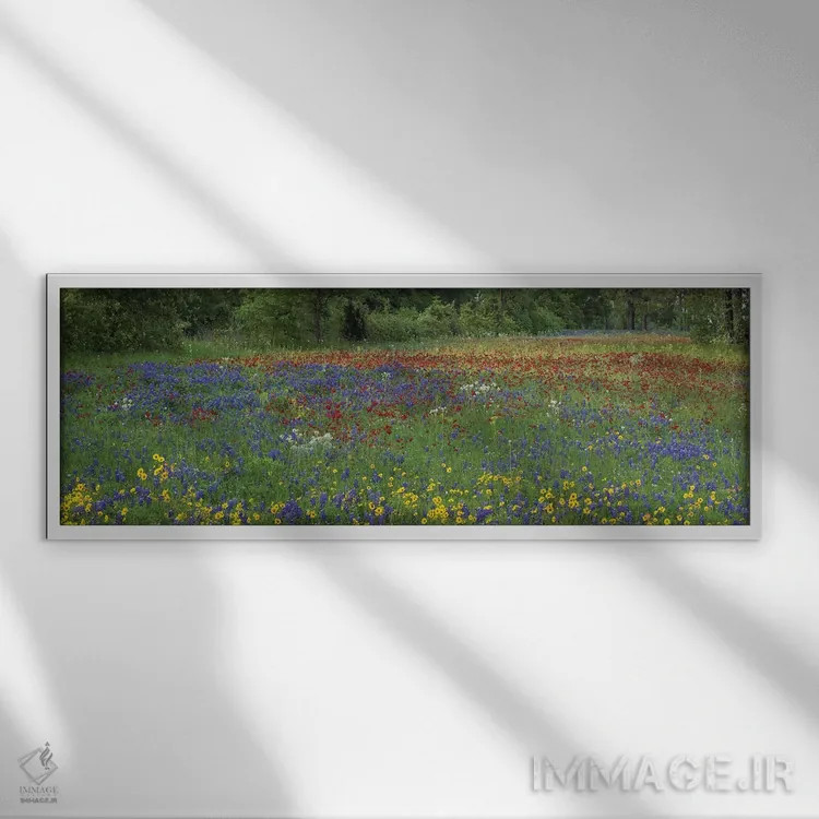 تابلو دکوراتیو Drummond's Phlox And Tickseed, Fort Parker State Park, Tex… اثر تیم فیتزهریس - نمای قابدار سفید
