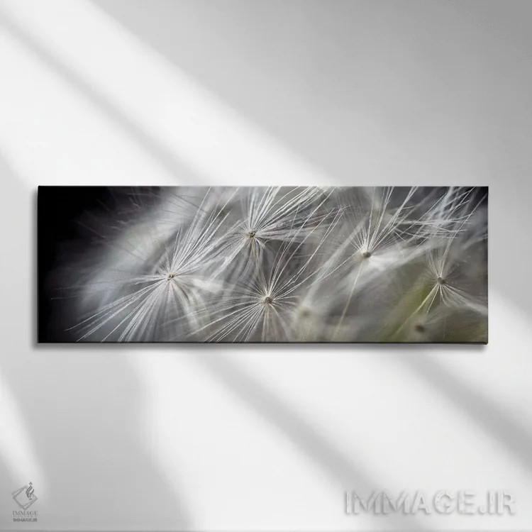 تابلو دکوراتیو نمای نزدیک قاصدک روی زمینه سیاه اثر تام کوارترمین - نمای روبهرو روی دیوار