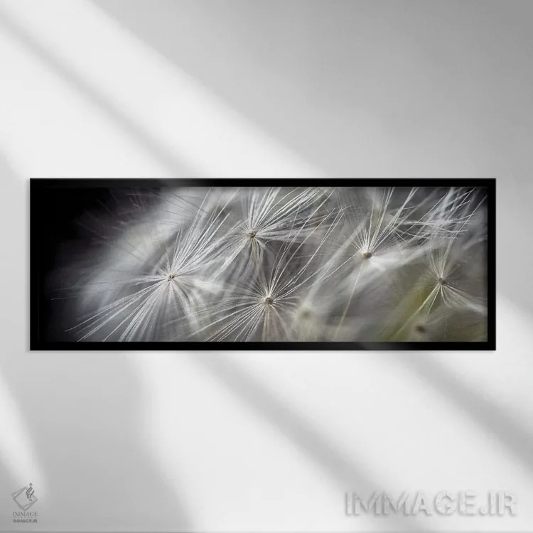 تابلو دکوراتیو نمای نزدیک قاصدک روی زمینه سیاه اثر تام کوارترمین - نمای قابدار مشکی