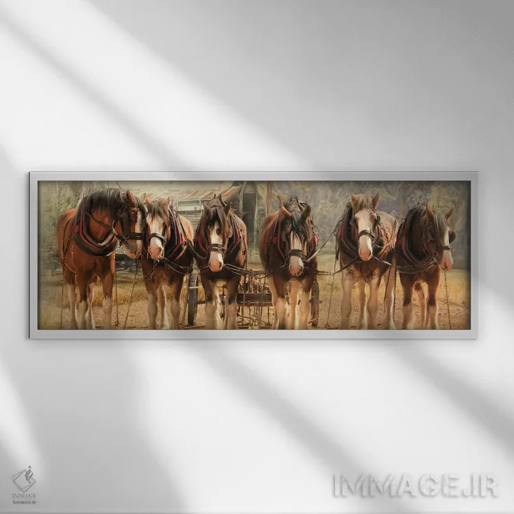 تابلو دکوراتیو شش تایی در یراق اثر ترودی سیموندز - نمای قابدار سفید