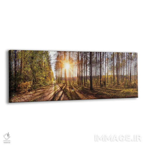 تابلو دکوراتیو نمای پانورامای جنگل در روز آفتابی اثر والری ریباکوف - نمای پرسپکتیو محصول