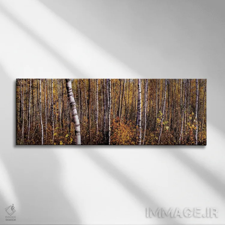 تابلو دکوراتیو پانورامای جنگل توس در پاییز اثر والری ریباکوف - نمای روبهرو روی دیوار