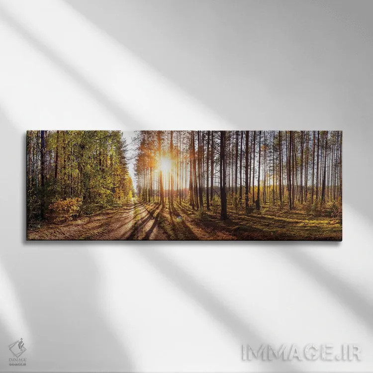 تابلو دکوراتیو نمای پانورامای جنگل در روز آفتابی اثر والری ریباکوف - نمای روبهرو روی دیوار