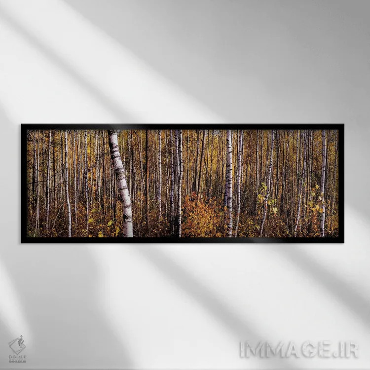 تابلو دکوراتیو پانورامای جنگل توس در پاییز اثر والری ریباکوف - نمای قابدار مشکی