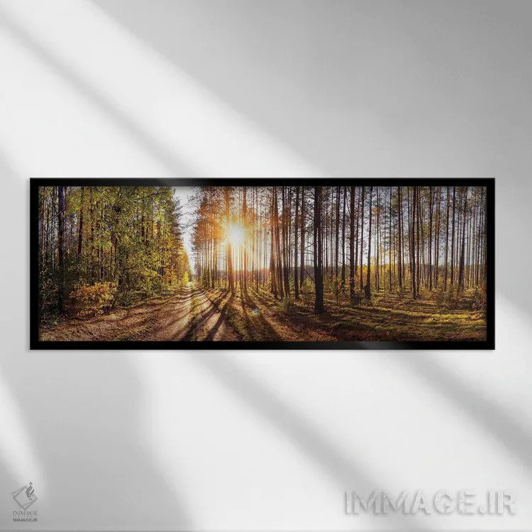 تابلو دکوراتیو نمای پانورامای جنگل در روز آفتابی اثر والری ریباکوف - نمای قابدار مشکی