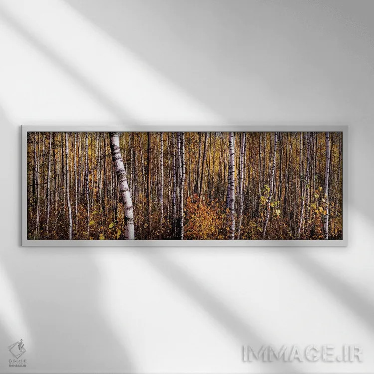 تابلو دکوراتیو پانورامای جنگل توس در پاییز اثر والری ریباکوف - نمای قابدار سفید