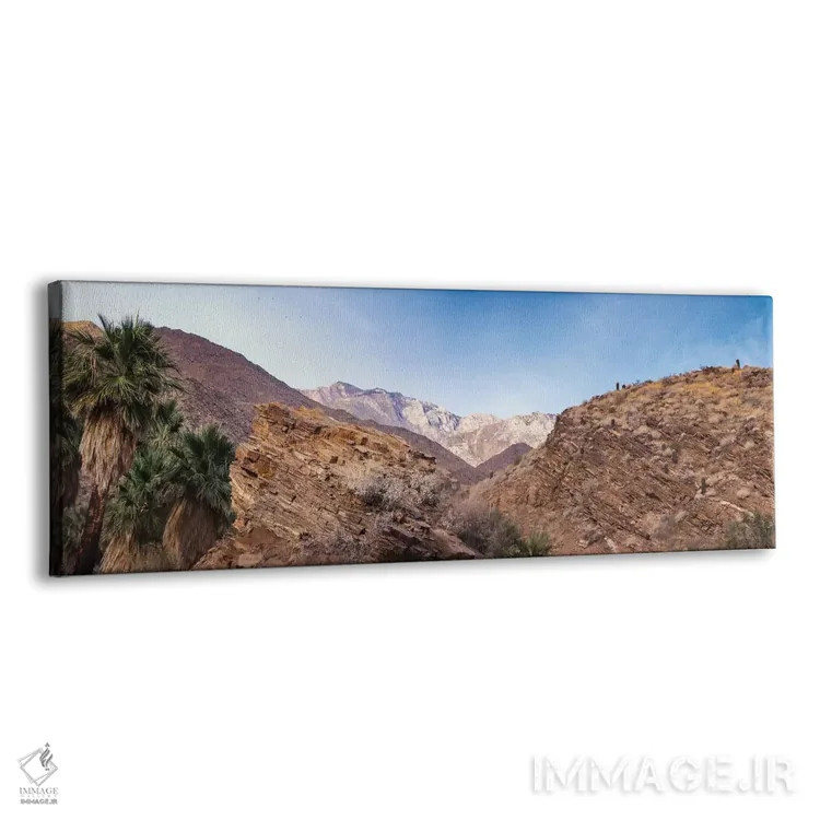 تابلو دکوراتیو دره های سرخپوستان، پالم اسپرینگز، کالیفرنیا اثر زاندریا مونش برالدو - نمای پرسپکتیو محصول