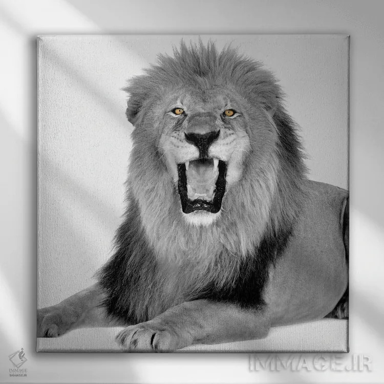 تابلو دکوراتیو قدرت اثر کیمبرلی آلن - نمای روبهرو روی دیوار