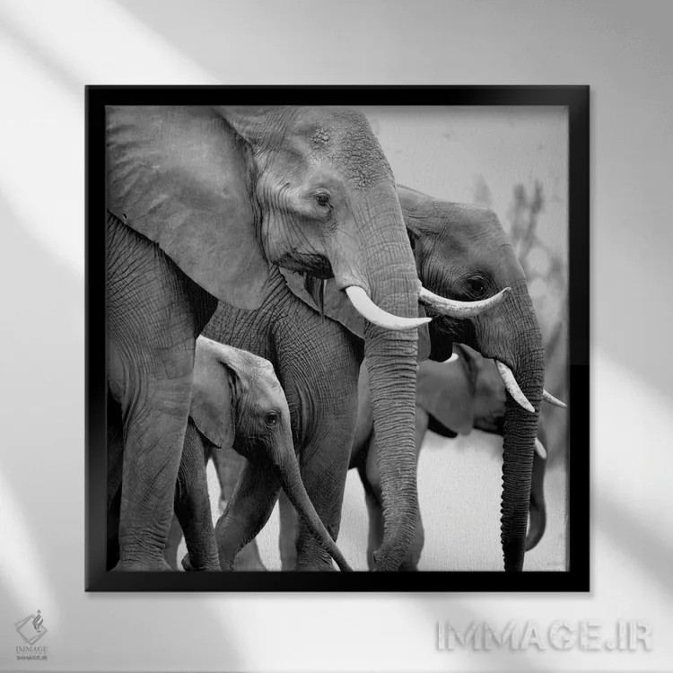 تابلو دکوراتیو گنج تو اثر کیمبرلی آلن - نمای قابدار مشکی