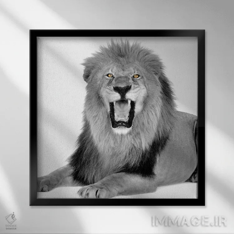 تابلو دکوراتیو قدرت اثر کیمبرلی آلن - نمای قابدار مشکی