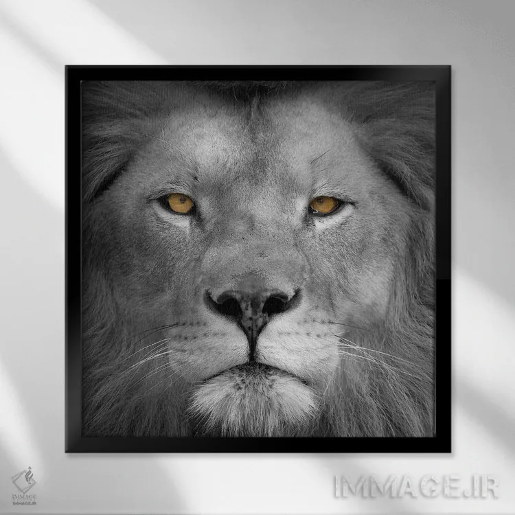 تابلو دکوراتیو قدرت شیر اثر کیمبرلی آلن - نمای قابدار مشکی