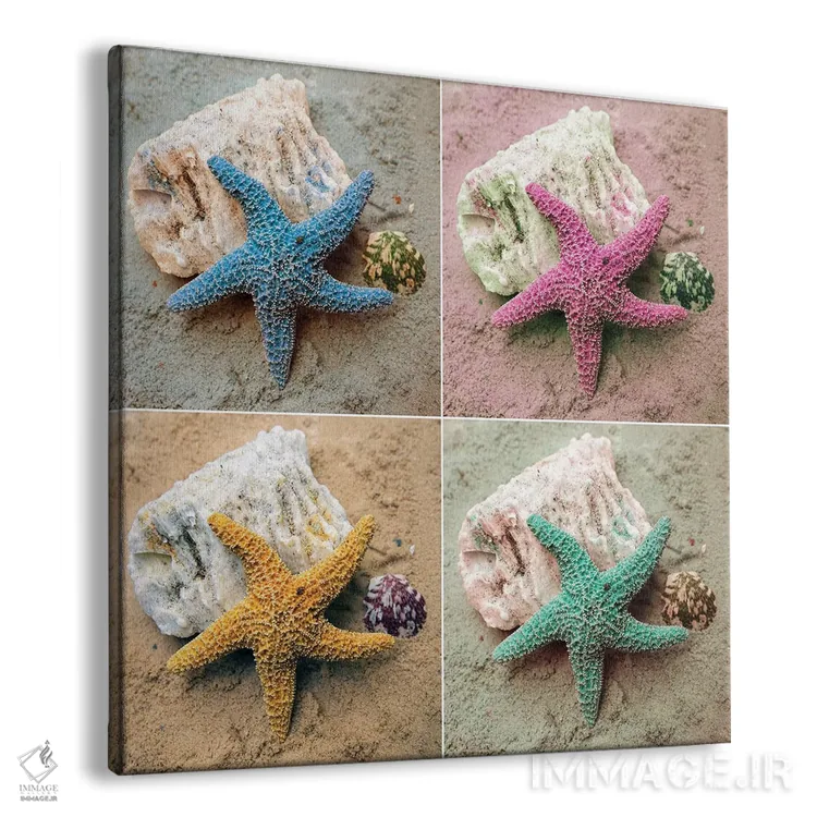تابلو دکوراتیو ستاره دریایی رنگارنگ اثر کتی منسفیلد - نمای پرسپکتیو محصول