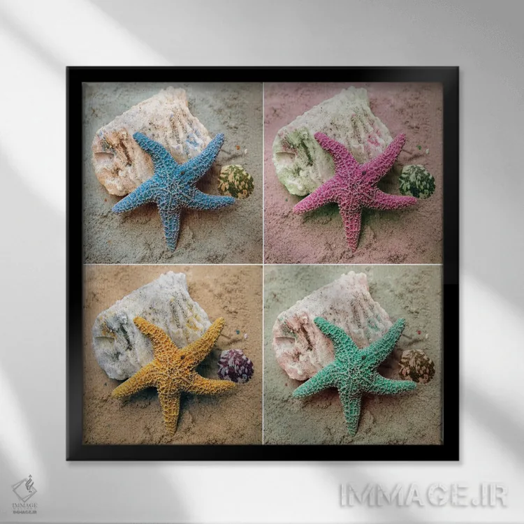 تابلو دکوراتیو ستاره دریایی رنگارنگ اثر کتی منسفیلد - نمای قابدار مشکی