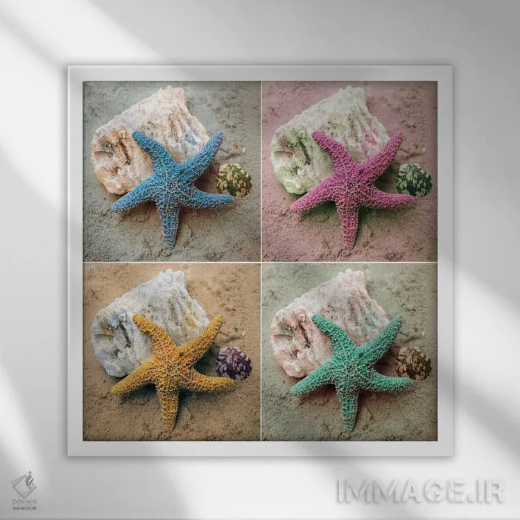 تابلو دکوراتیو ستاره دریایی رنگارنگ اثر کتی منسفیلد - نمای قابدار سفید