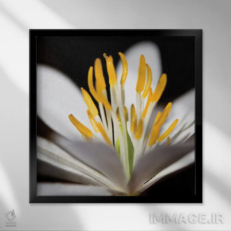 تابلو دکوراتیو پوکن سفید ۱ اثر کتی منسفیلد - نمای قابدار مشکی