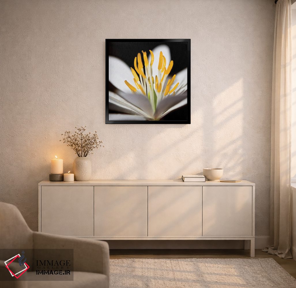 تابلو دکوراتیو پوکن سفید ۱ اثر کتی منسفیلد - D5B