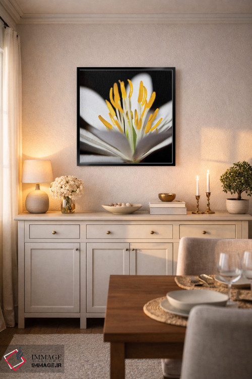 تابلو دکوراتیو پوکن سفید ۱ اثر کتی منسفیلد - D6B