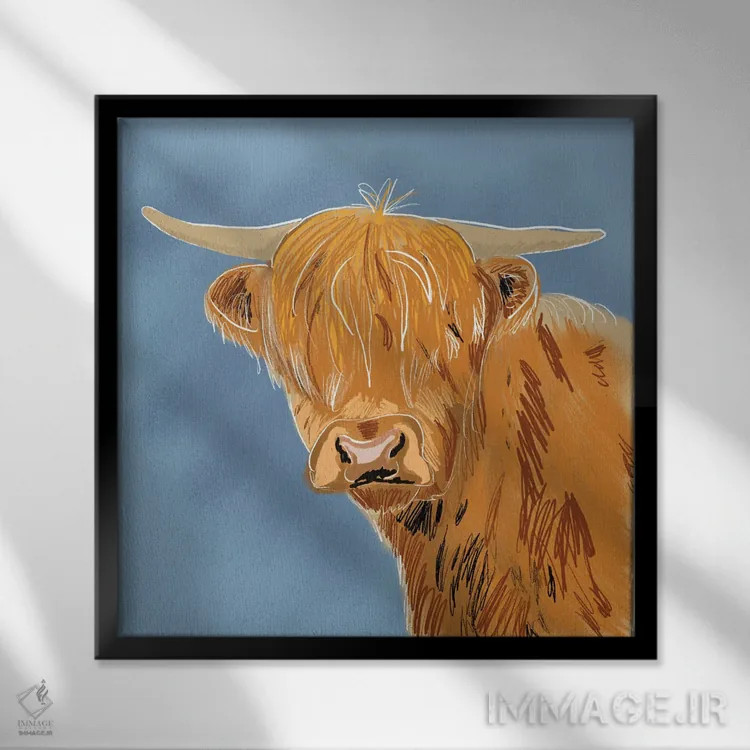 تابلو دکوراتیو گاو کوهستانی اثر کالی ویلسون - نمای قابدار مشکی