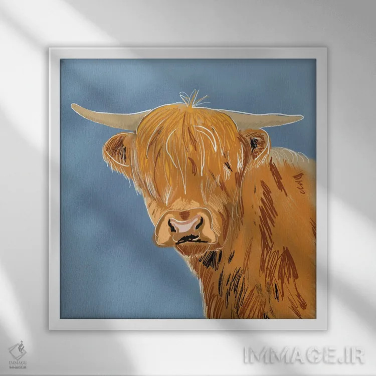 تابلو دکوراتیو گاو کوهستانی اثر کالی ویلسون - نمای قابدار سفید