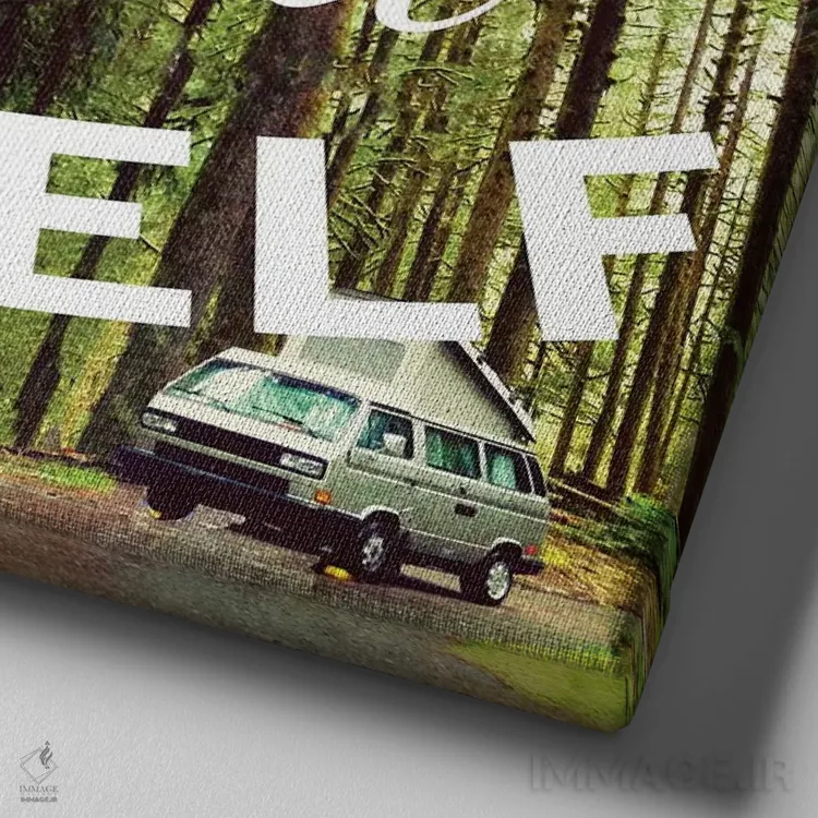 تابلو دکوراتیو در جستجوی خود سرگردان اثر کالی ویلسون - نمای نزدیک بافت بوم