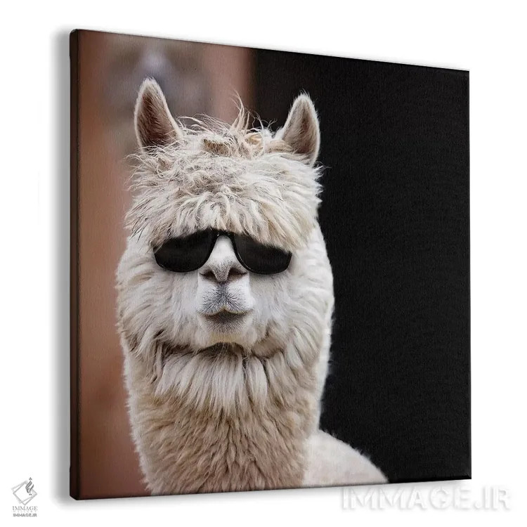 تابلو دکوراتیو آلپاکا با عینک آفتابی اثر کارن بورک - نمای پرسپکتیو محصول