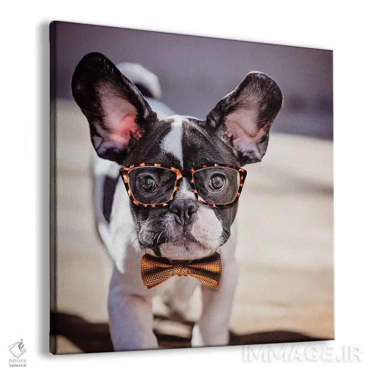 تابلو دکوراتیو چارلی کلاس اولی اثر کارن بورک - نمای پرسپکتیو محصول