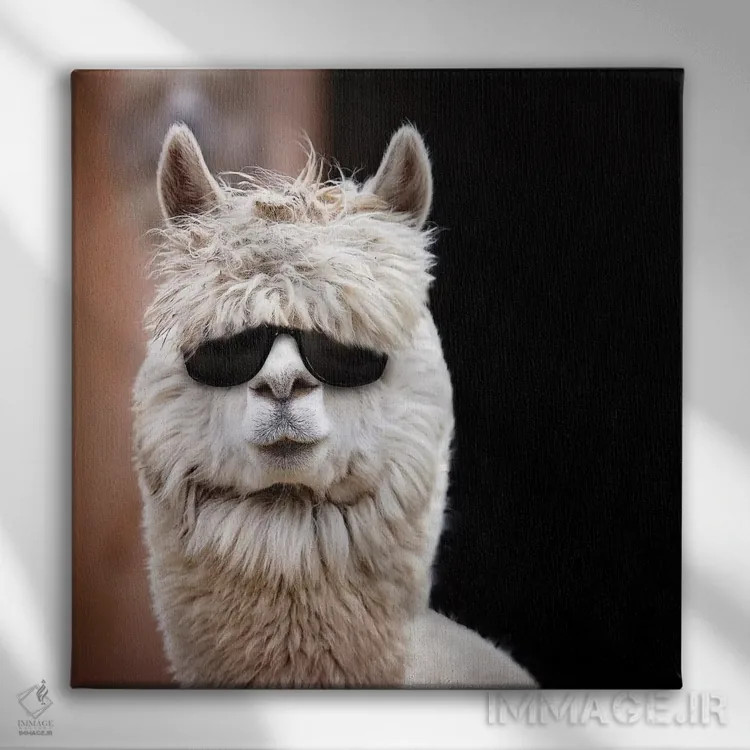 تابلو دکوراتیو آلپاکا با عینک آفتابی اثر کارن بورک - نمای روبهرو روی دیوار
