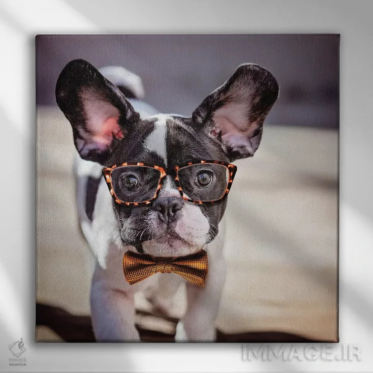 تابلو دکوراتیو چارلی کلاس اولی اثر کارن بورک - نمای روبهرو روی دیوار