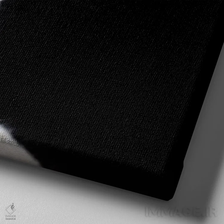 تابلو دکوراتیو آلپاکا با عینک آفتابی اثر کارن بورک - نمای نزدیک بافت بوم