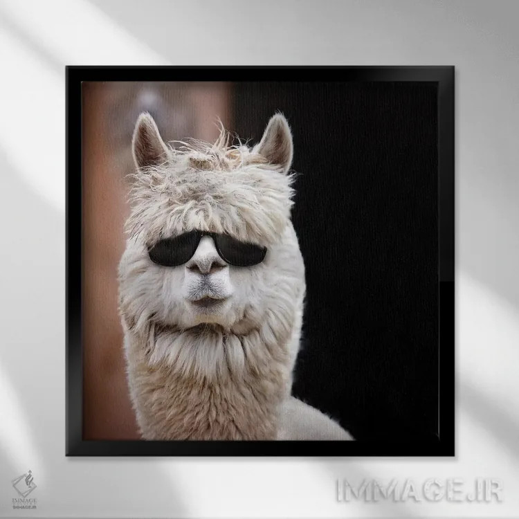 تابلو دکوراتیو آلپاکا با عینک آفتابی اثر کارن بورک - نمای قابدار مشکی