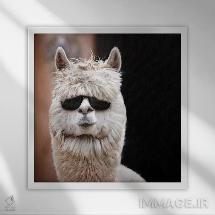 تابلو دکوراتیو آلپاکا با عینک آفتابی اثر کارن بورک - نمای قابدار سفید