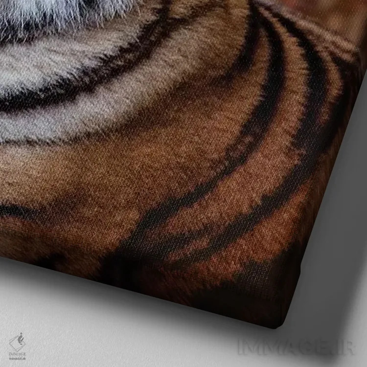 تابلو دکوراتیو ببر جنتلمن اثر کارن بورک - نمای نزدیک بافت بوم