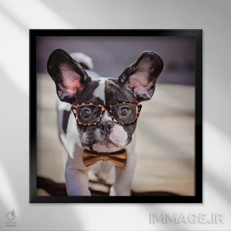 تابلو دکوراتیو چارلی کلاس اولی اثر کارن بورک - نمای قابدار مشکی