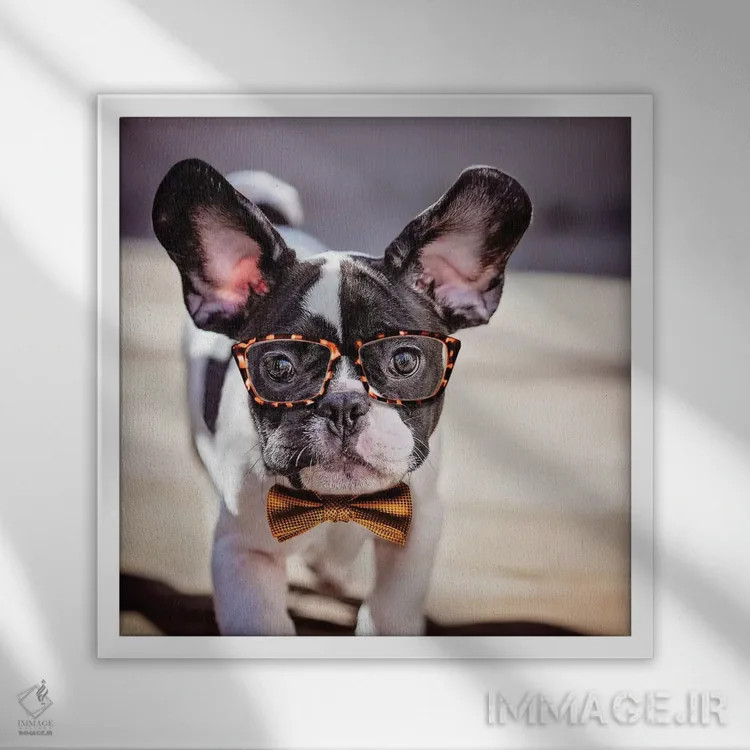 تابلو دکوراتیو چارلی کلاس اولی اثر کارن بورک - نمای قابدار سفید