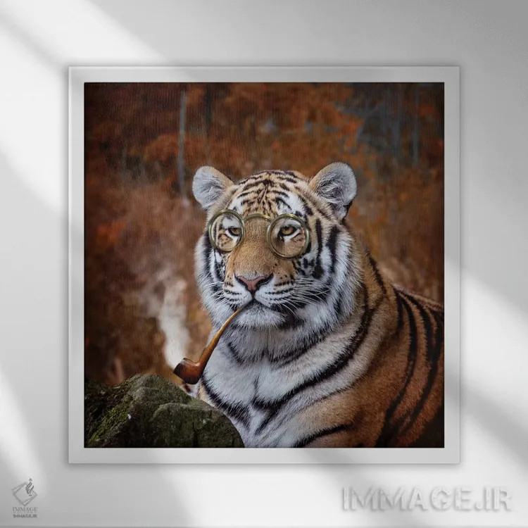 تابلو دکوراتیو ببر جنتلمن اثر کارن بورک - نمای قابدار سفید