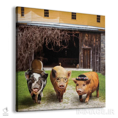 تابلو دکوراتیو گروه خوک ها اثر کارن بورک - نمای پرسپکتیو محصول