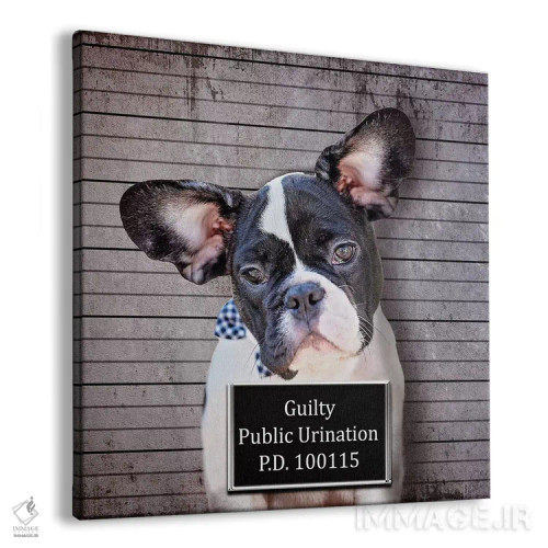 تابلو دکوراتیو ادرار در ملا عام اثر کارن بورک - نمای پرسپکتیو محصول