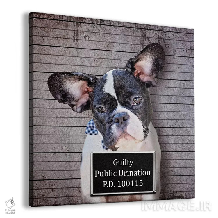 تابلو دکوراتیو ادرار در ملا عام اثر کارن بورک - نمای پرسپکتیو محصول