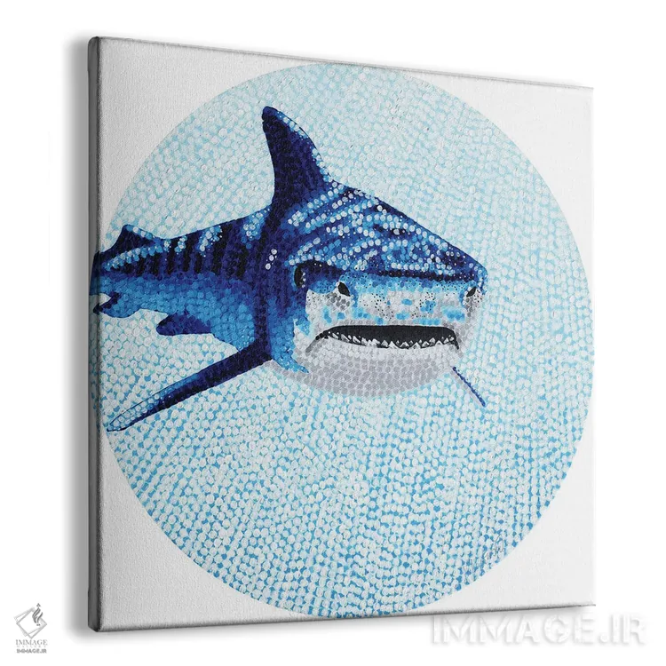 تابلو دکوراتیو کوسه ببری اقیانوس ستاره ای اثر کلسی امبلو - نمای پرسپکتیو محصول