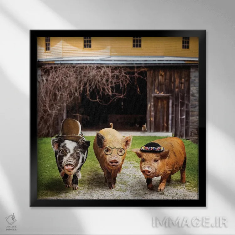 تابلو دکوراتیو گروه خوک ها اثر کارن بورک - نمای قابدار مشکی