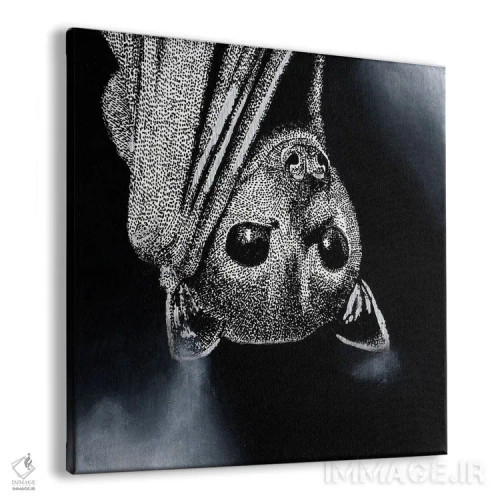 تابلو دکوراتیو روباه پرنده اثر کلسی امبلو - نمای پرسپکتیو محصول