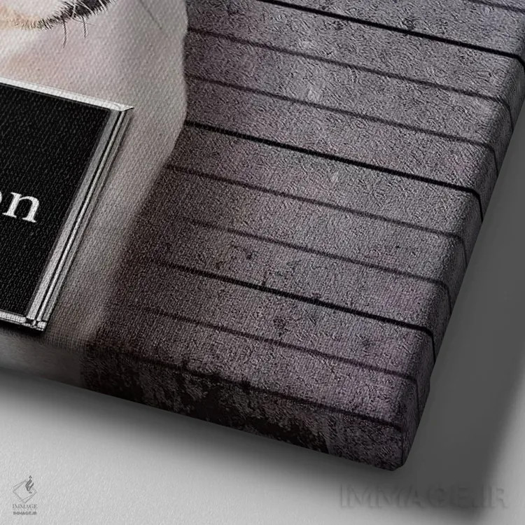 تابلو دکوراتیو ادرار در ملا عام اثر کارن بورک - نمای نزدیک بافت بوم