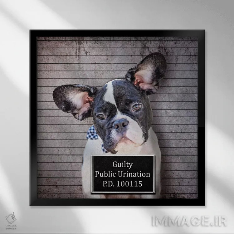 تابلو دکوراتیو ادرار در ملا عام اثر کارن بورک - نمای قابدار مشکی