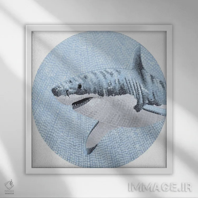 تابلو دکوراتیو کوسه سفید بزرگ در اقیانوس پرستاره اثر کلسی امبلو - نمای قابدار سفید