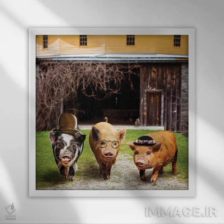 تابلو دکوراتیو گروه خوک ها اثر کارن بورک - نمای قابدار سفید