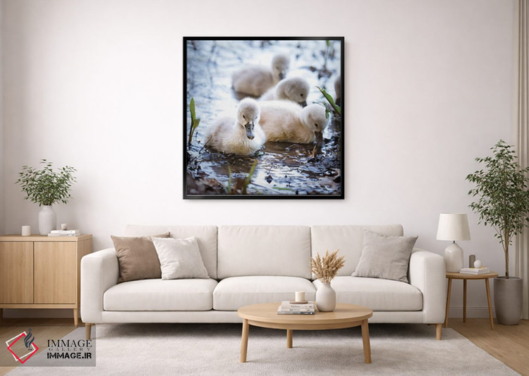 تابلو دکوراتیو قوهای کوچک اثر کارن بورک - D2B