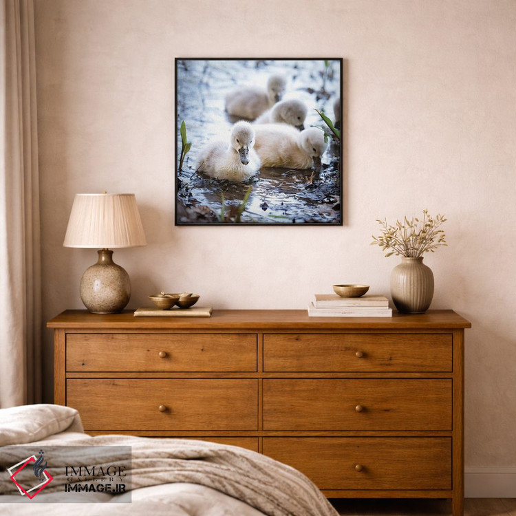 تابلو دکوراتیو قوهای کوچک اثر کارن بورک - D1B