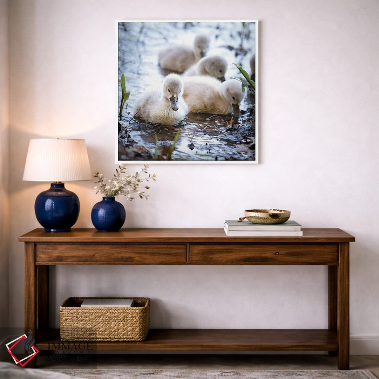 تابلو دکوراتیو قوهای کوچک اثر کارن بورک - D5W